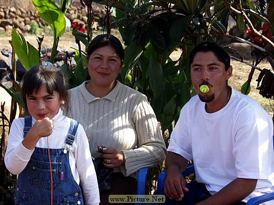 Michoacan, Mexico
Dec. 2004 & Jan. 2005