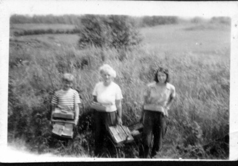 Picking Berries