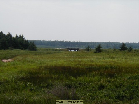 East Lake Creek, PEI