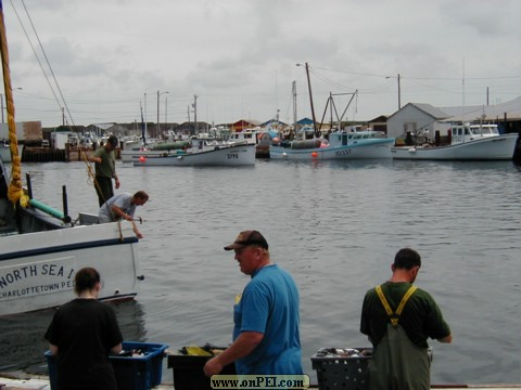 North Lake Harbour