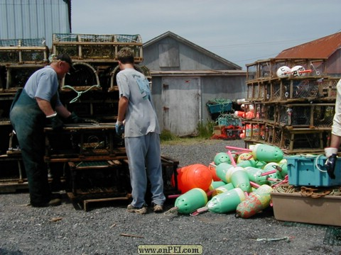 North Lake Last day of Lobster Season