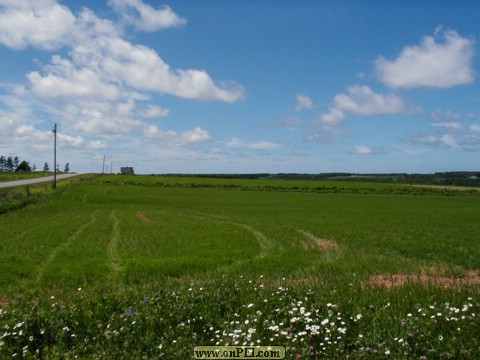 Fields above North Lake