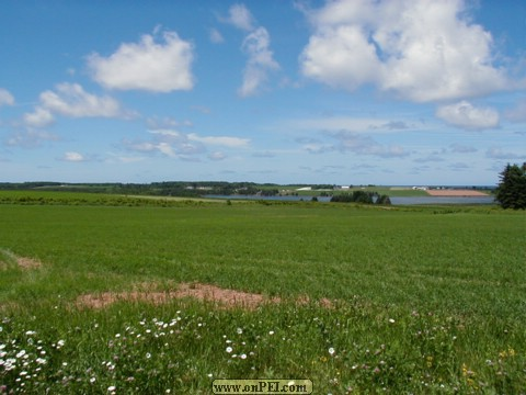 Fields above North Lake