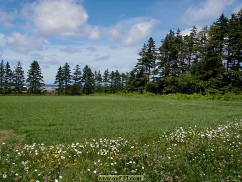 Fields above North Lake