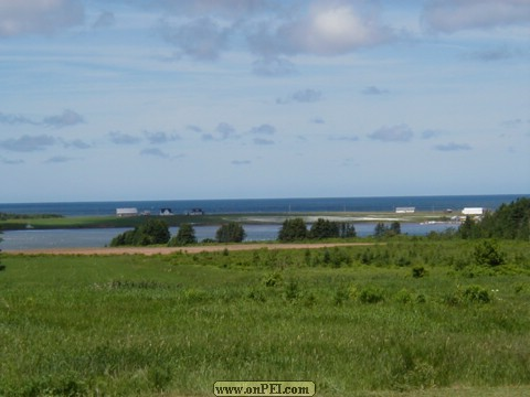 Fields above North Lake