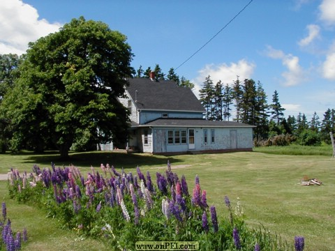 Willie Fraser House, North Lake