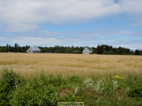 Angus Beaton Farmhouse