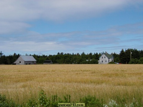 Angus Beaton Farmhouse