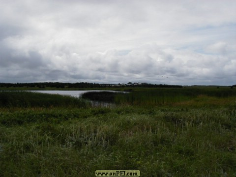 Beaton Pond