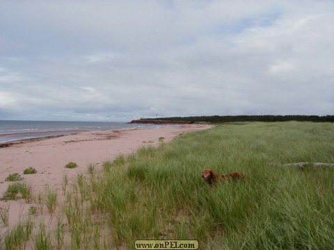 Looking from Beaton Point To East Point