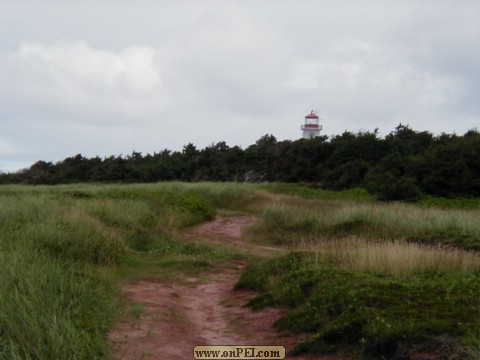 The Lighthouse