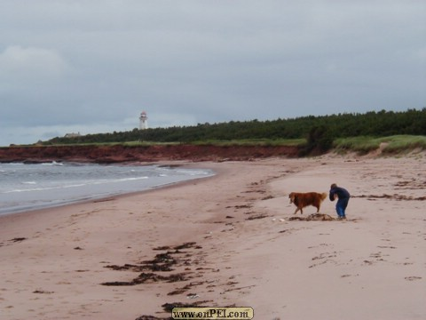 The Beach