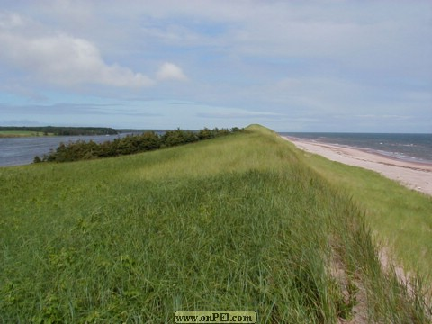 The dunes between South Lake and the Ocean