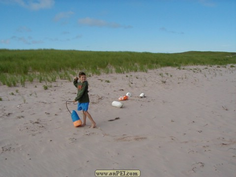 The dunes between South Lake and the Ocean